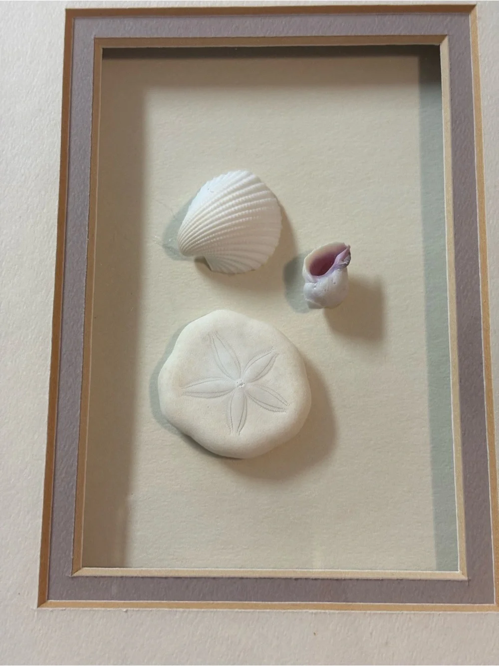 Coastal Triptych Seashell Shadowbox - Cream Framed Beach Art